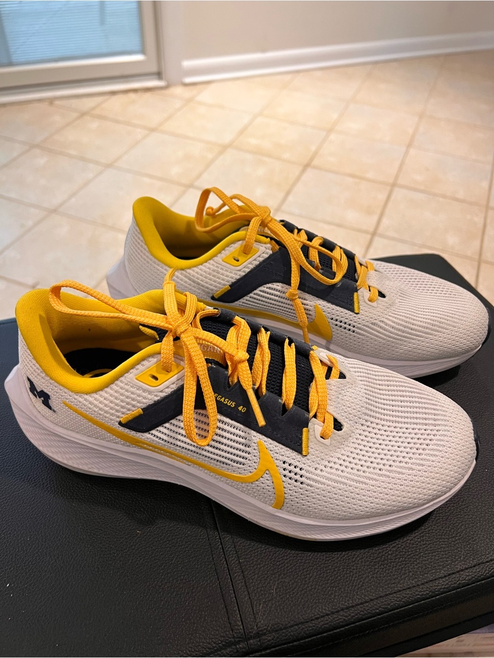 Nike Air Zoom Pegasus 40 Michigan Wolverines running shoes - Men’s 8/ W 9.5